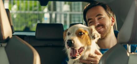 man-and-white-and-ginger-dog-in-bac-seat-of-car